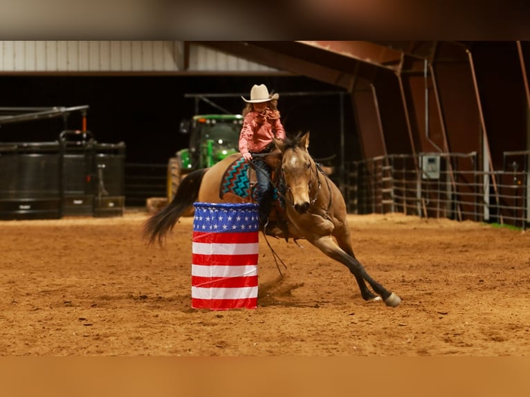 American Quarter Horse Gelding 15 years 15,3 hh Buckskin in Quitman