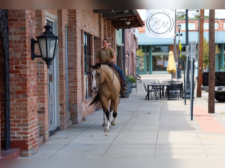 American Quarter Horse Gelding 16 years Buckskin in Terrell