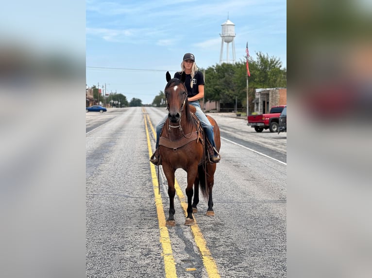 American Quarter Horse Gelding 17 years 15,2 hh Roan-Bay in Byers TX