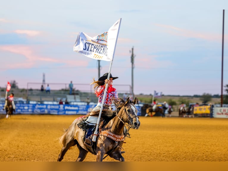 American Quarter Horse Gelding 3 years Grey in Stephenville