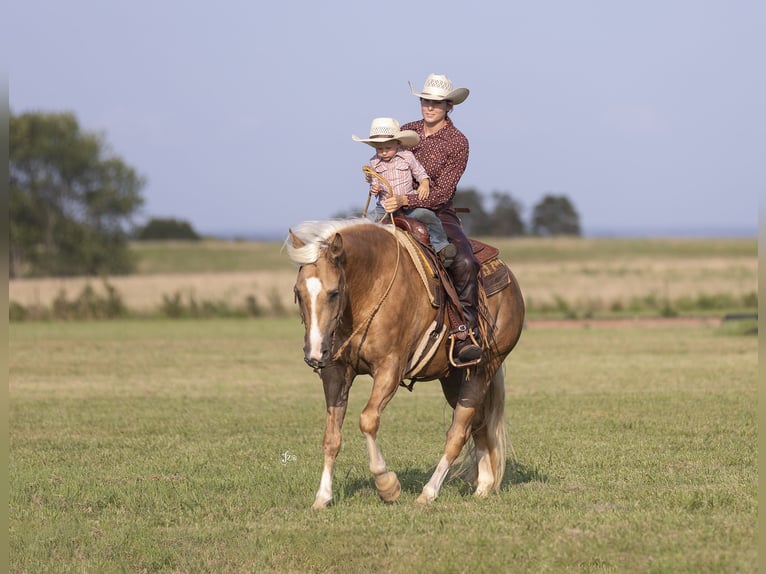 American Quarter Horse Gelding 4 years 15 hh Palomino in Adair, OK