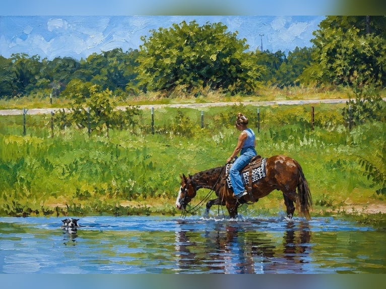 American Quarter Horse Gelding 4 years Chestnut in Cisco