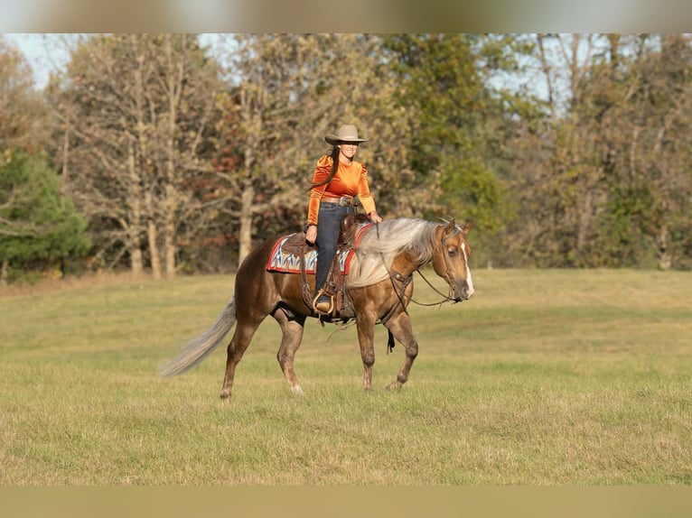 American Quarter Horse Gelding 5 years 15 hh Palomino in Aguila