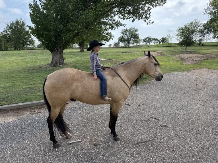 American Quarter Horse Gelding 5 years 15,1 hh Buckskin in Kaufman, TX