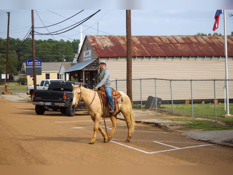 American Quarter Horse Gelding 7 years 17 hh Palomino in RUSK TX