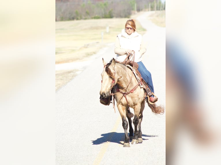 American Quarter Horse Gelding 8 years 14,2 hh Buckskin in Mt. Hope, AL