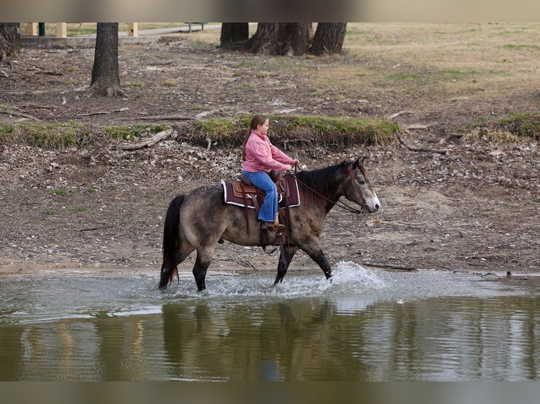 American Quarter Horse Gelding 8 years 14.3 hh Buckskin in Forney