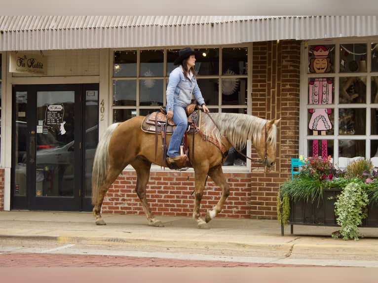 American Quarter Horse Gelding 8 years 15,1 hh Palomino in RUSK TX