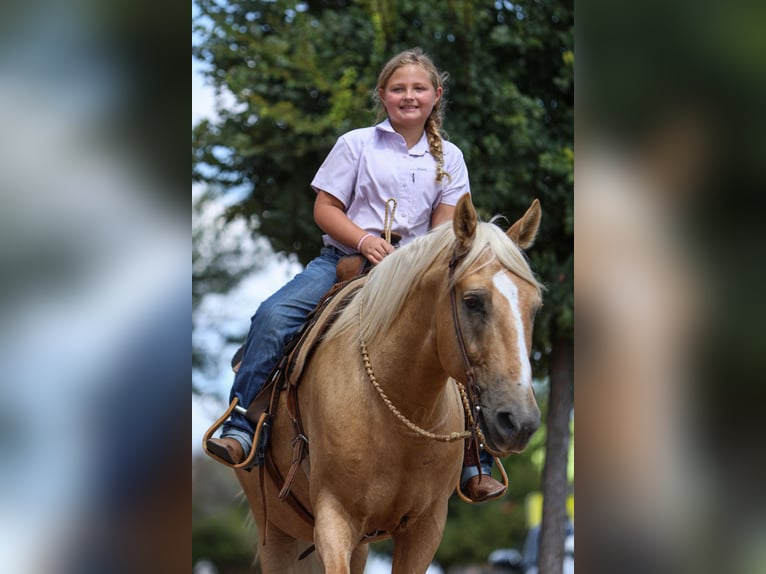 American Quarter Horse Gelding 9 years 14,1 hh Palomino in Joshua, TX