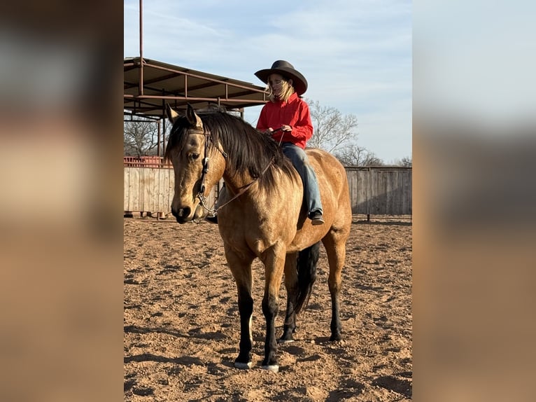 American Quarter Horse Gelding 9 years 15.1 hh Buckskin in Weatherford