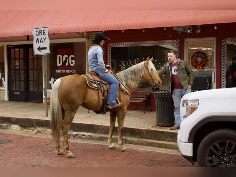 American Quarter Horse Gelding 9 years 15,1 hh Palomino in RUSK TX