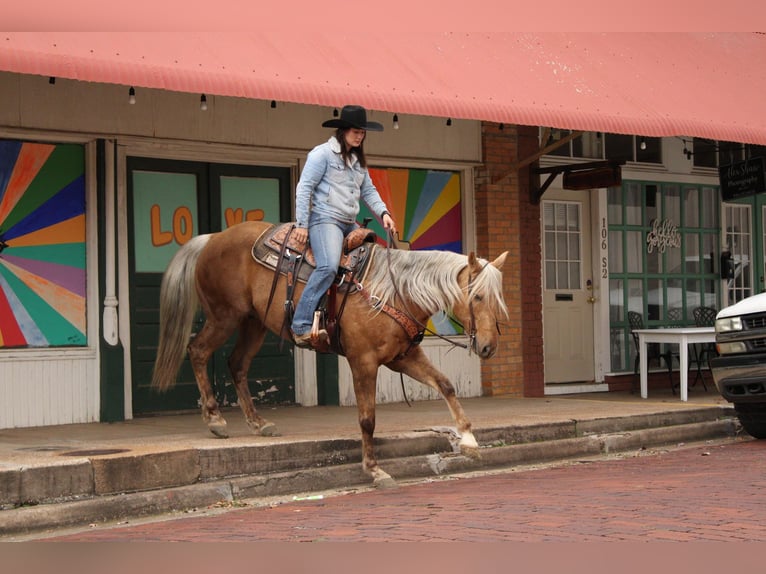 American Quarter Horse Gelding 9 years 15,1 hh Palomino in RUSK TX