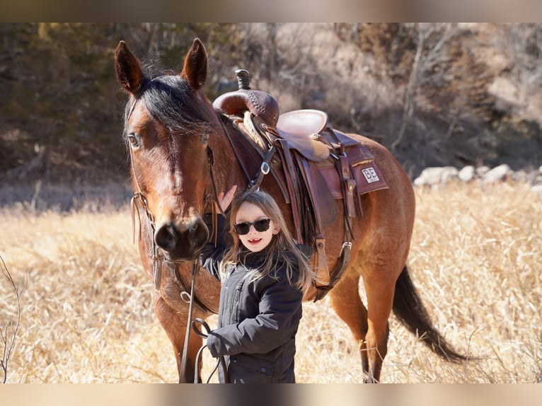 American Quarter Horse Gelding 9 years 15 hh Roan-Bay in Corsica, SD