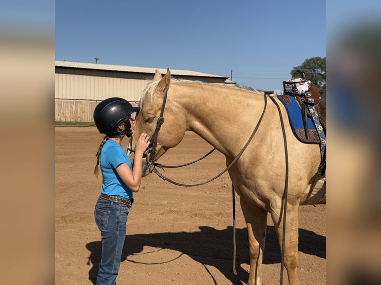 American Quarter Horse Gelding 9 years 15,2 hh Palomino in Weatherford