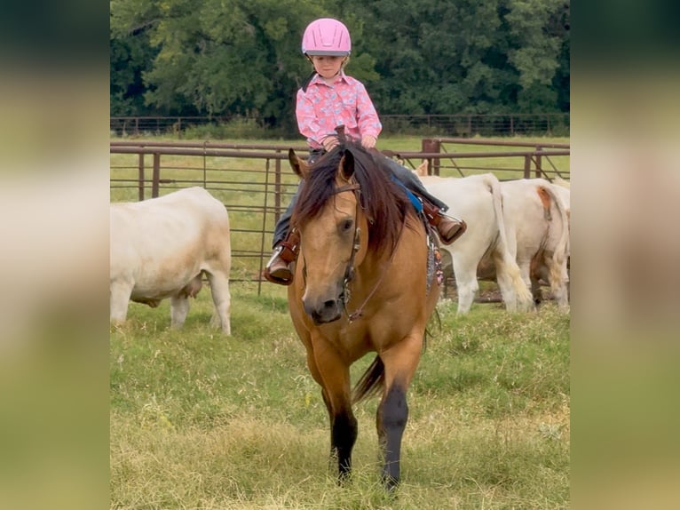 American Quarter Horse Gelding 9 years Buckskin in Weatherford