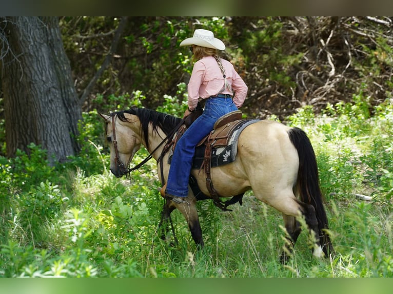 American Quarter Horse Gelding 9 years Buckskin in Brandon