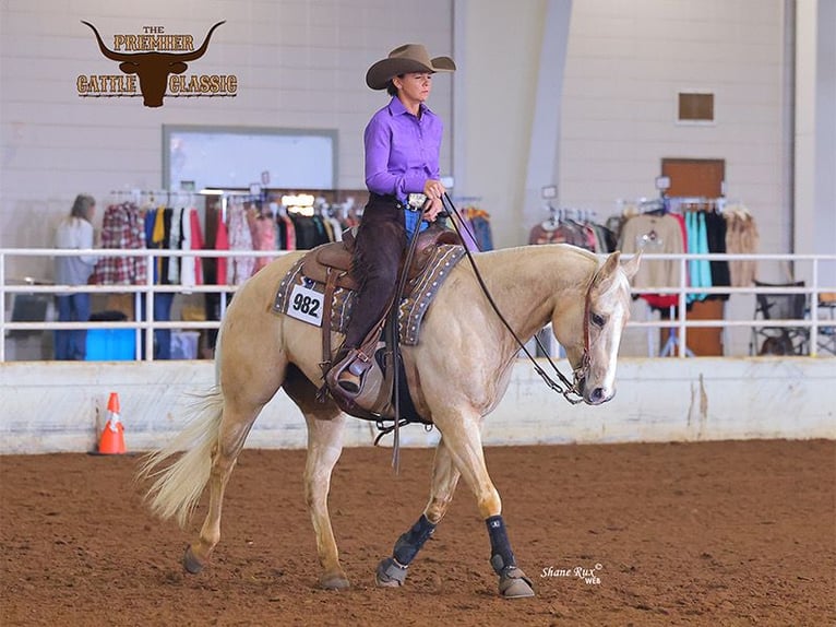 American Quarter Horse Giumenta 10 Anni 155 cm Palomino in Vidalia