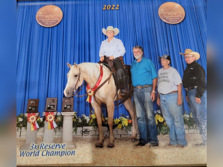 American Quarter Horse Giumenta 10 Anni 155 cm Palomino in Vidalia