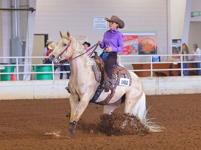 American Quarter Horse Giumenta 10 Anni 155 cm Palomino in Vidalia