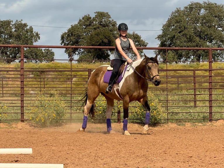 American Quarter Horse Giumenta 10 Anni Pelle di daino in Guthrie OK