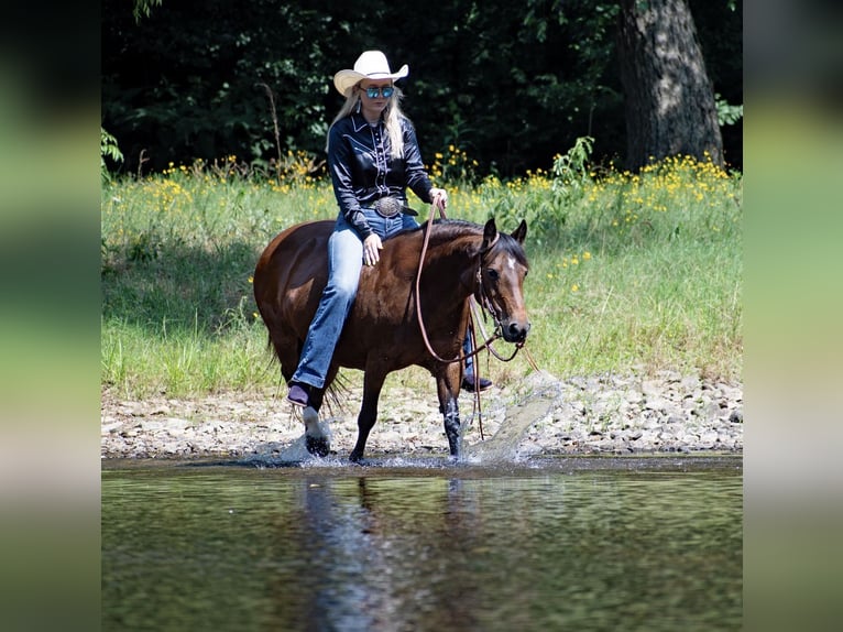 American Quarter Horse Giumenta 12 Anni 124 cm Baio ciliegia in Quitman AR