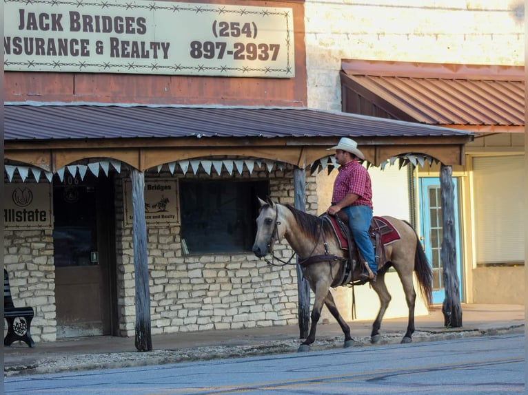 American Quarter Horse Giumenta 12 Anni 142 cm Pelle di daino in Stephenville TX