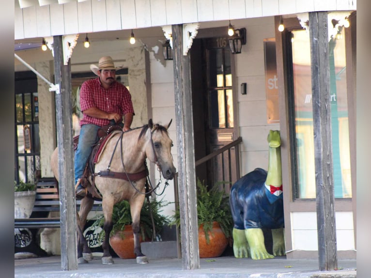 American Quarter Horse Giumenta 12 Anni 142 cm Pelle di daino in Stephenville TX