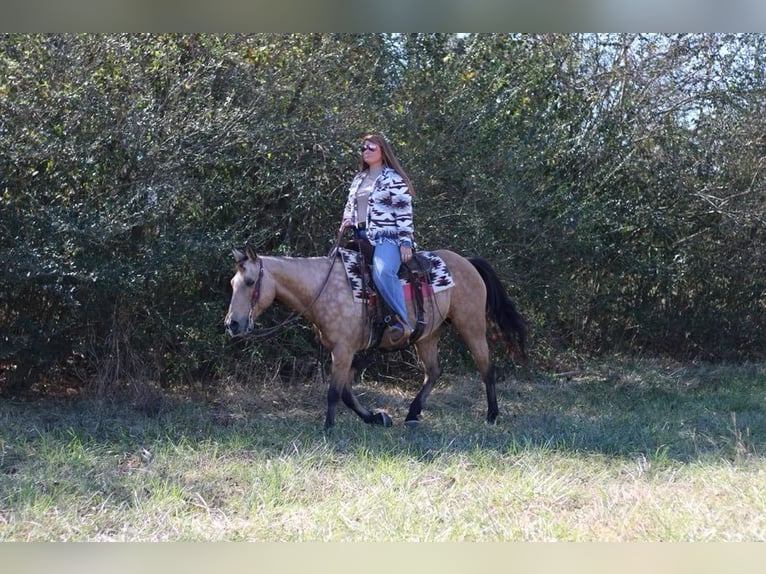 American Quarter Horse Giumenta 12 Anni 142 cm Pelle di daino in Mt Hope AL