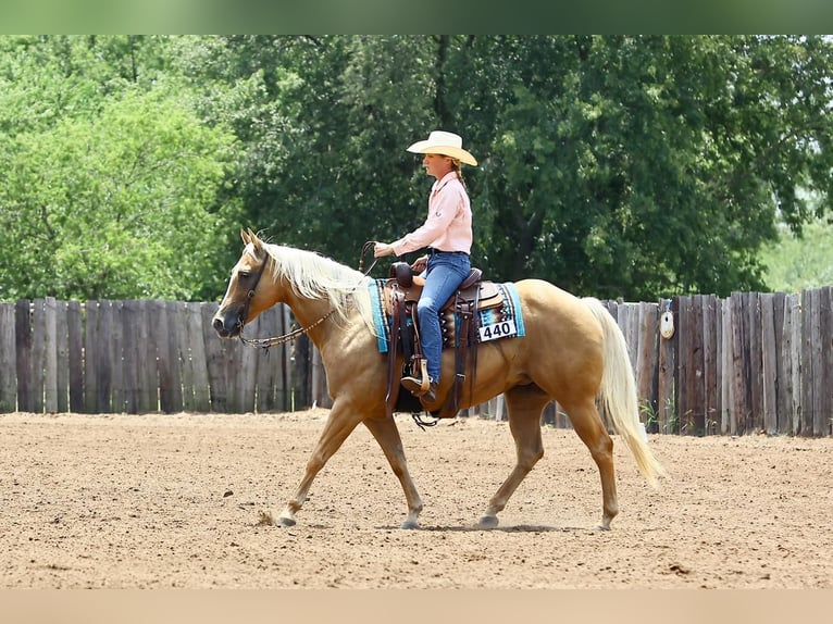 American Quarter Horse Giumenta 12 Anni 150 cm Palomino in Argyle, TX