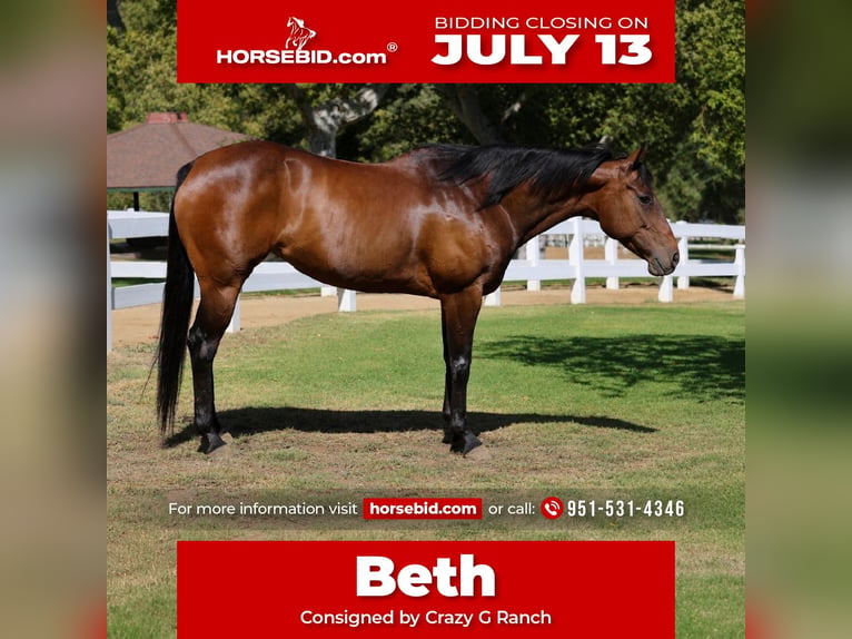 American Quarter Horse Giumenta 12 Anni Baio ciliegia in Norco