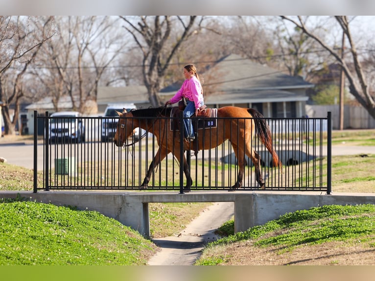 American Quarter Horse Giumenta 13 Anni 150 cm Pelle di daino in Forney, TX
