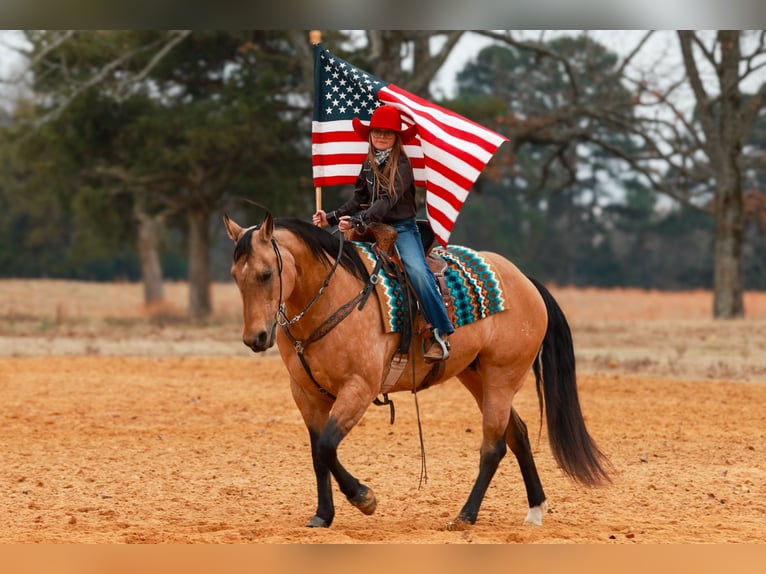 American Quarter Horse Giumenta 13 Anni 152 cm Pelle di daino in Quitman