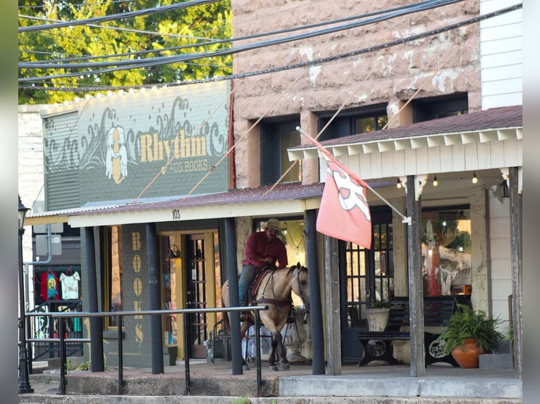 American Quarter Horse Giumenta 14 Anni 142 cm Pelle di daino in Stephenville TX