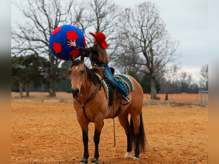 American Quarter Horse Giumenta 14 Anni 152 cm Pelle di daino in Quitman