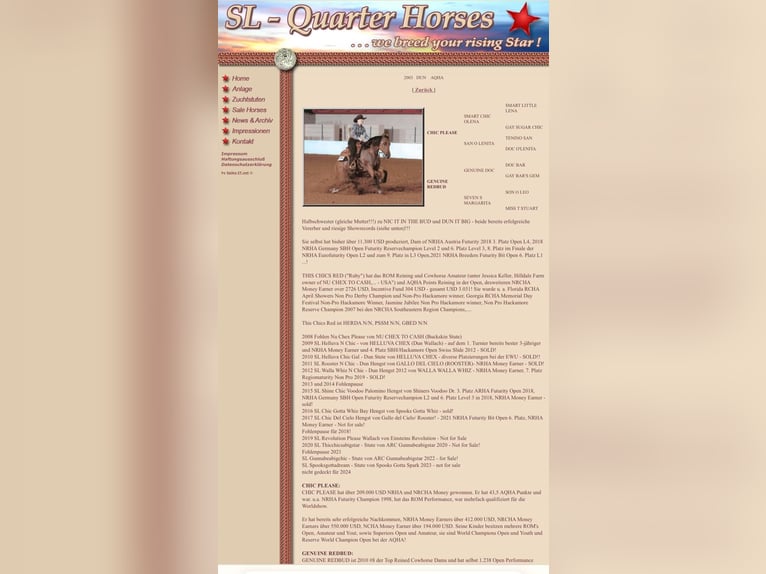 American Quarter Horse Giumenta 21 Anni 152 cm Falbo in Deggenhausertal