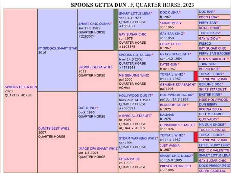 American Quarter Horse Giumenta 2 Anni 152 cm Baio chiaro in Querfurt