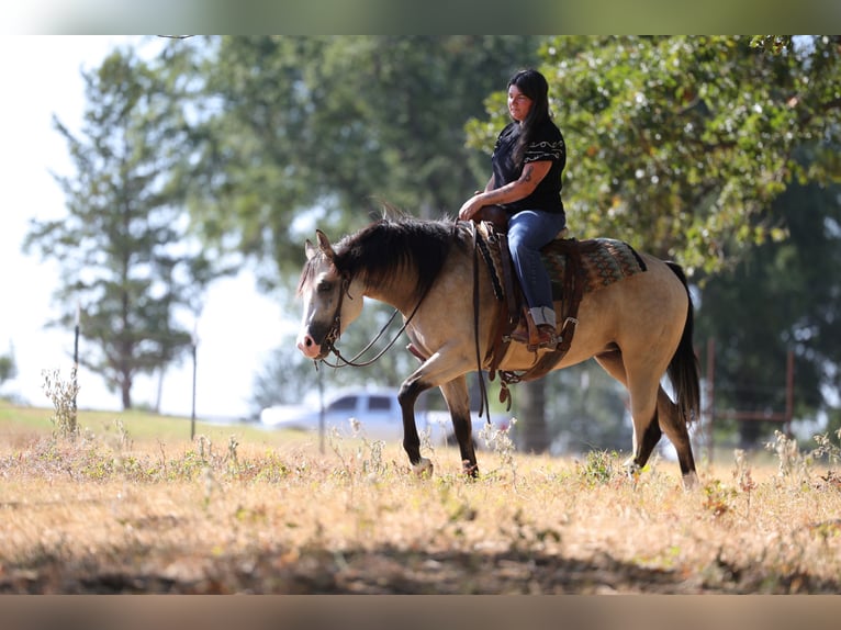 American Quarter Horse Giumenta 2 Anni Pelle di daino in Mount Vernon