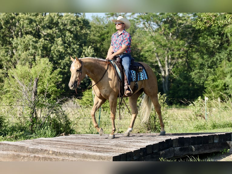 American Quarter Horse Giumenta 3 Anni 152 cm Palomino in Buffalo