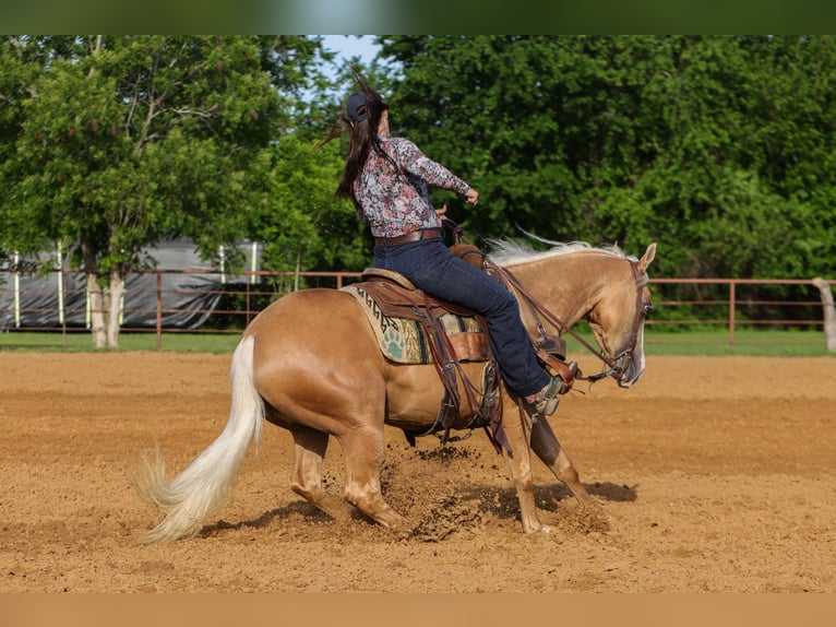 American Quarter Horse Giumenta 4 Anni Palomino in Rusk