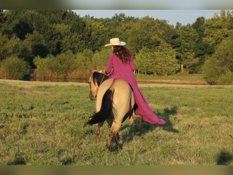 American Quarter Horse Giumenta 5 Anni 152 cm Pelle di daino in Baxter Springs