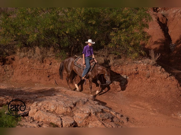 American Quarter Horse Giumenta 5 Anni Sauro ciliegia in Canyon