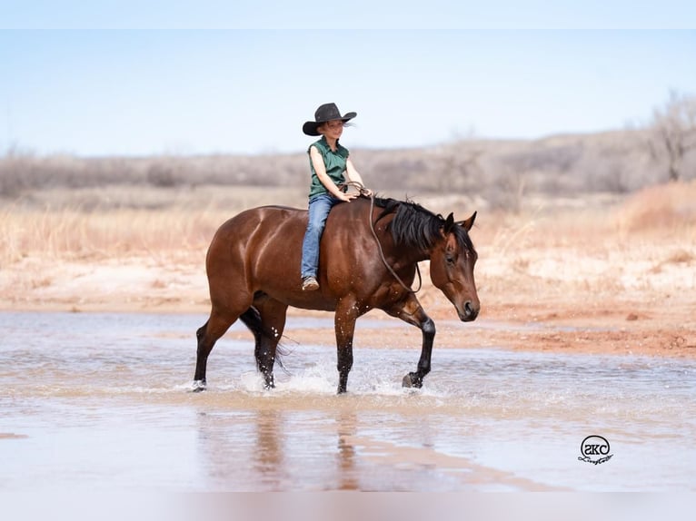 American Quarter Horse Giumenta 6 Anni 147 cm Baio ciliegia in Canyon, TX