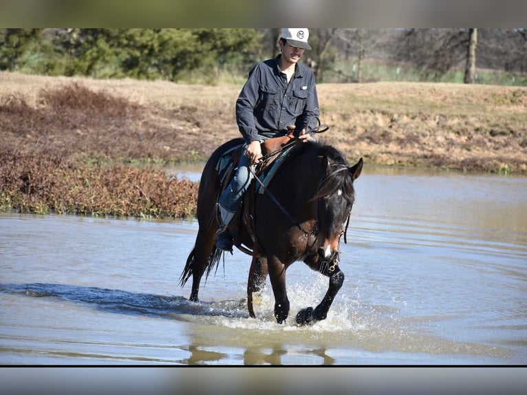 American Quarter Horse Giumenta 6 Anni 152 cm Baio ciliegia in Sulphur Springs