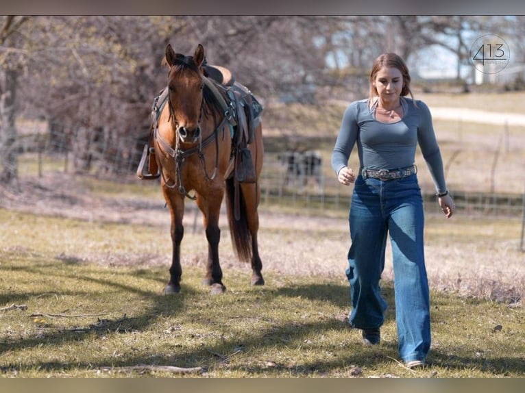 American Quarter Horse Giumenta 7 Anni Falbo in Weatherford, TX