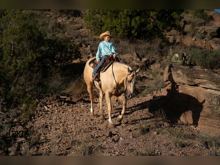 American Quarter Horse Giumenta 7 Anni Palomino in Canyon