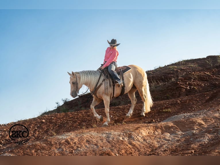 American Quarter Horse Giumenta 7 Anni Palomino in Canyon