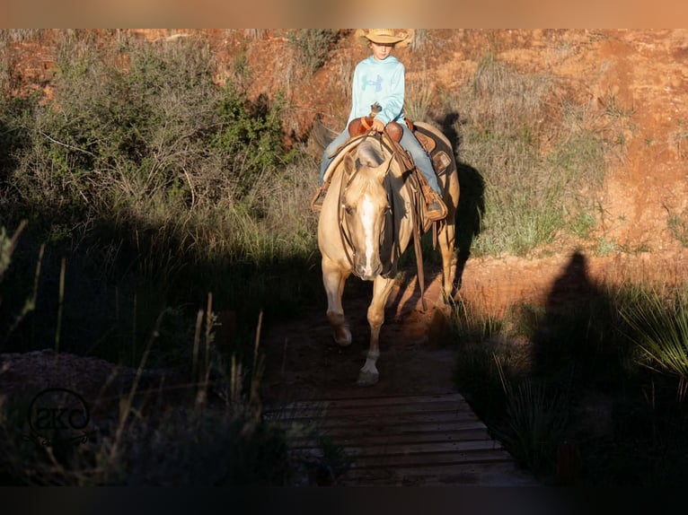 American Quarter Horse Giumenta 7 Anni Palomino in Canyon