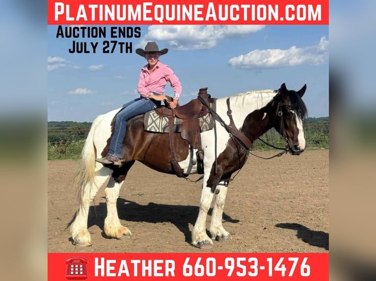 American Quarter Horse Giumenta 8 Anni Tobiano-tutti i colori in Princeton MO