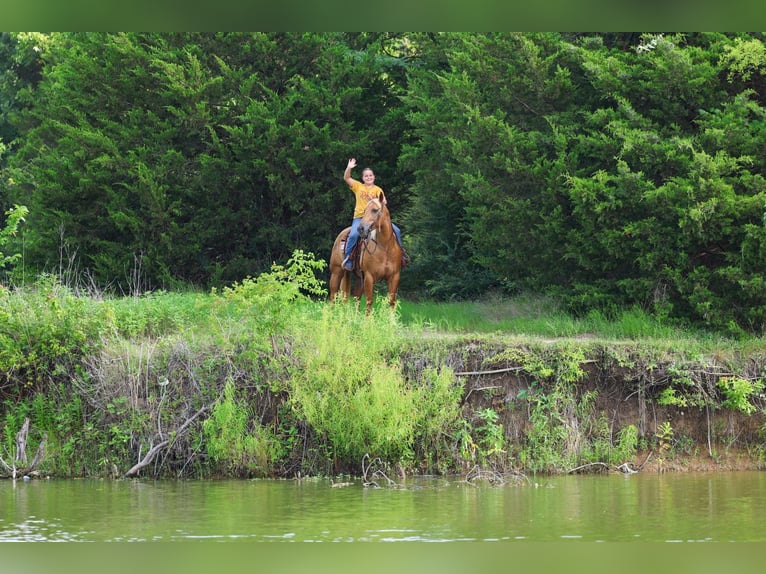 American Quarter Horse Giumenta 9 Anni 142 cm Palomino in Talty, TX