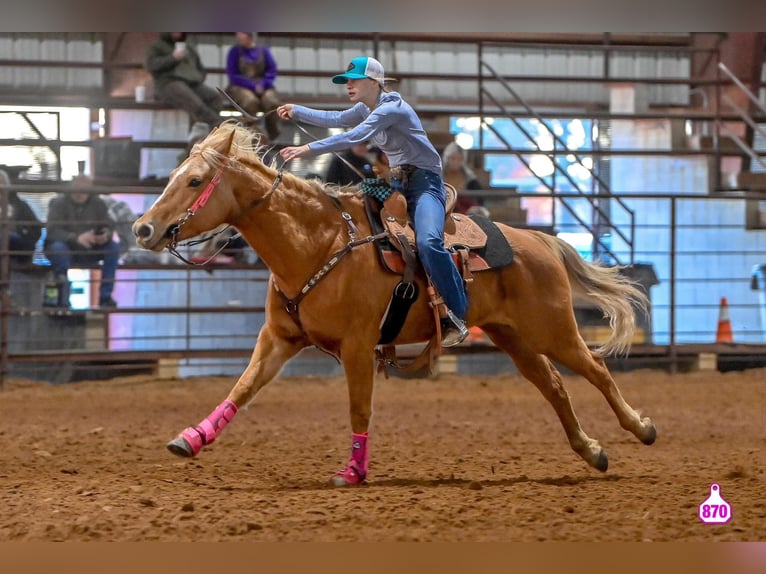 American Quarter Horse Klacz 10 lat 150 cm Izabelowata in Macon, MO